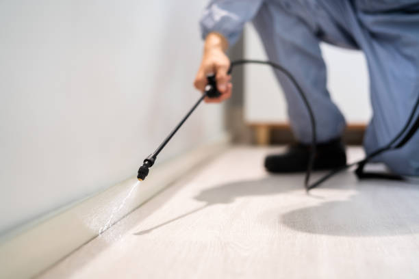 Licensed Termite Control service in Energy, IL - Nex Pest Control