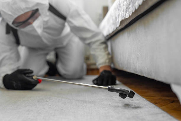 Professional Termite Control technician working in Energy, IL